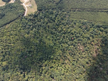Tignall, GA 30668 Wilkes County