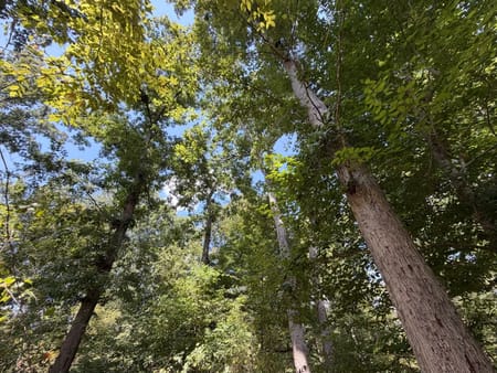 Tignall, GA 30668 Wilkes County