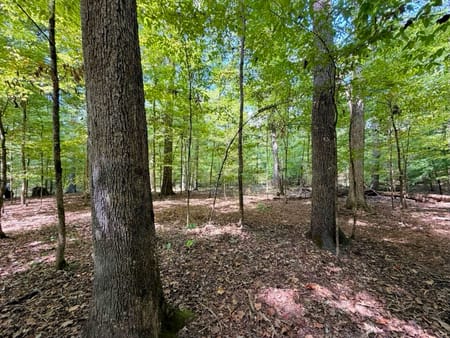 Tignall, GA 30668 Wilkes County