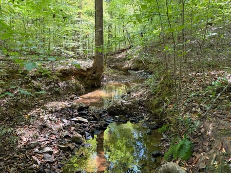 Tignall, GA 30668 Wilkes County