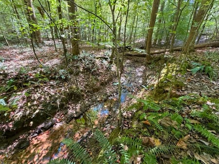 Tignall, GA 30668 Wilkes County