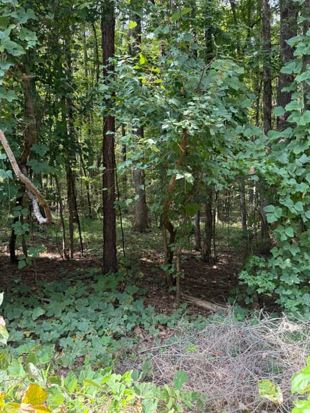 Hogansville, GA 30230 Troup County