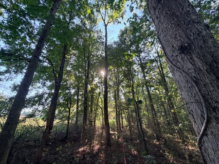 Commerce, GA 30530 Jackson County