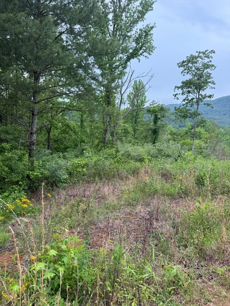 Cleveland, GA 30528 Lumpkin County