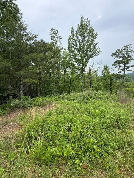 Cleveland, GA 30528 Lumpkin County