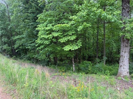 Cleveland, GA 30528 Lumpkin County