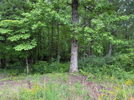 Cleveland, GA 30528 Lumpkin County