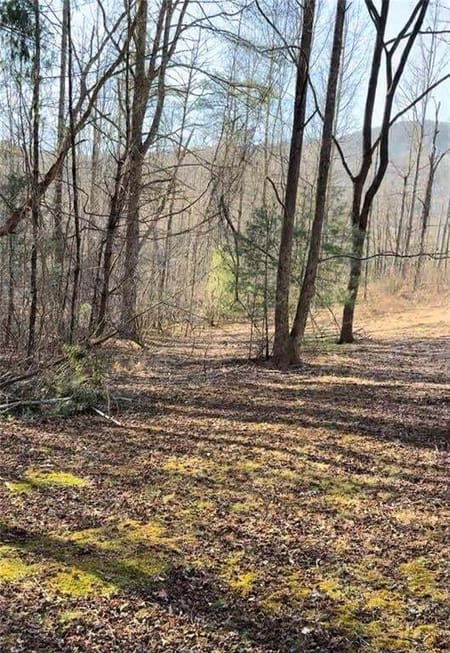 Cleveland, GA 30528 Lumpkin County