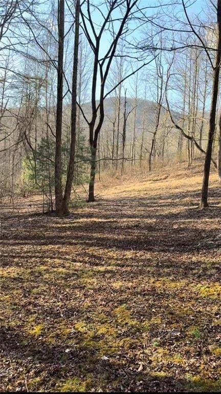 Cleveland, GA 30528 Lumpkin County