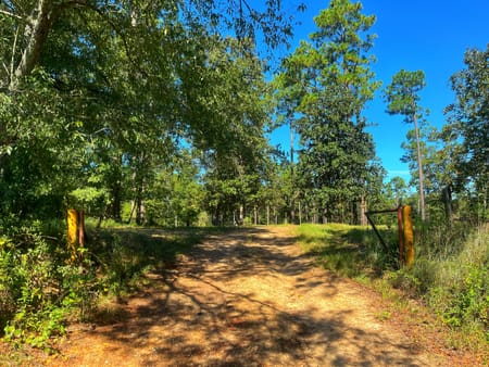 Bainbridge, GA 39819 Decatur County