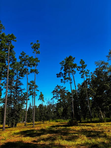 Bainbridge, GA 39819 Decatur County