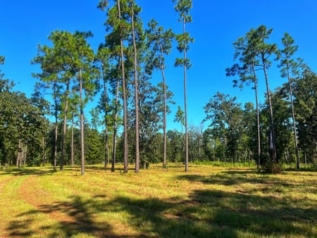 Bainbridge, GA 39819 Decatur County