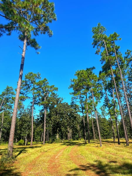 Bainbridge, GA 39819 Decatur County