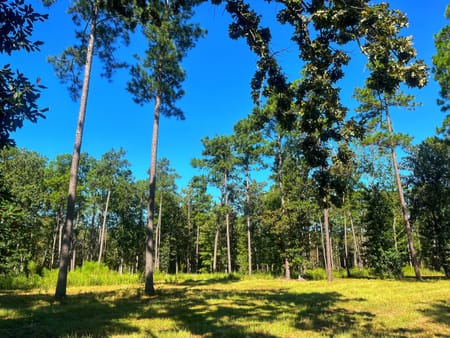 Bainbridge, GA 39819 Decatur County