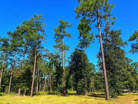 Bainbridge, GA 39819 Decatur County