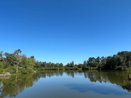 Bainbridge, GA 39819 Decatur County