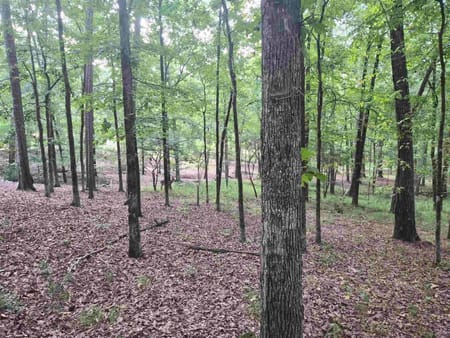Greensboro, GA 30642 Greene County