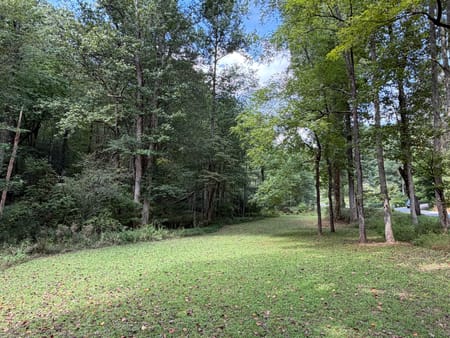 Cherry Log, GA 30522 Gilmer County