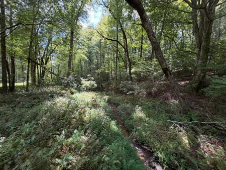 Cherry Log, GA 30522 Gilmer County