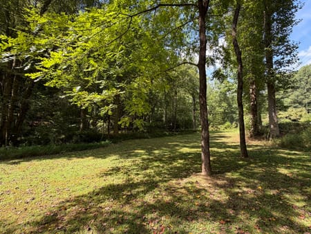Cherry Log, GA 30522 Gilmer County
