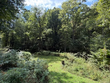 Cherry Log, GA 30522 Gilmer County