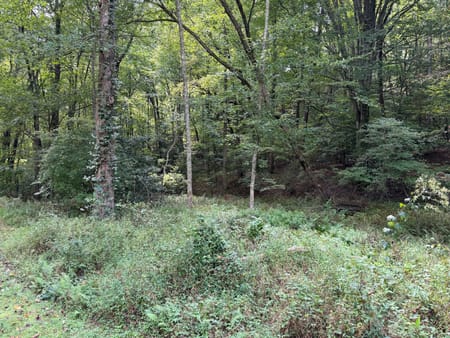 Cherry Log, GA 30522 Gilmer County
