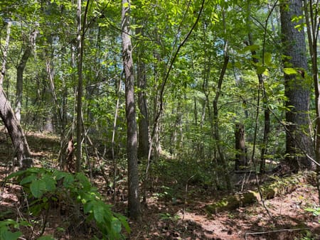 Ellijay, GA 30540 Gilmer County