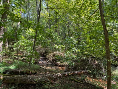 Ellijay, GA 30540 Gilmer County