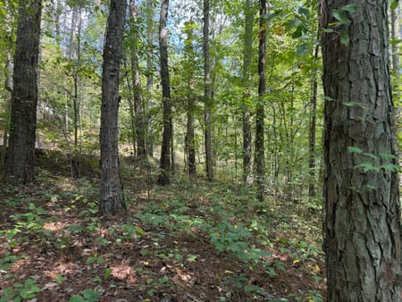 Ellijay, GA 30540 Gilmer County