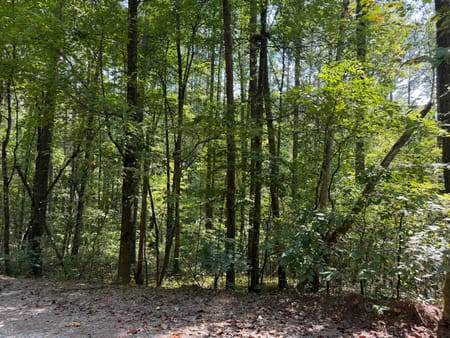 Ellijay, GA 30540 Gilmer County