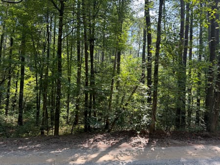 Ellijay, GA 30540 Gilmer County