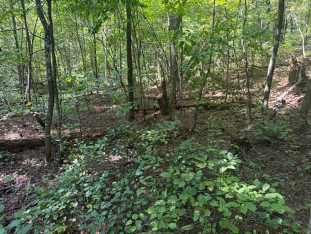 Ellijay, GA 30540 Gilmer County