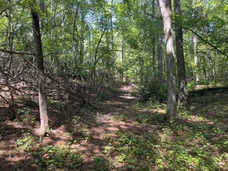 Ellijay, GA 30540 Gilmer County