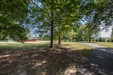 Chester, GA 31012 Bleckley County