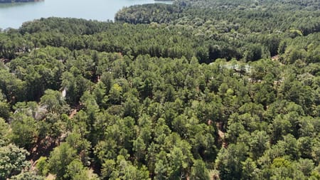 Elberton, GA 30635 Elbert County