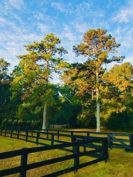Alpharetta, GA 30004 Fulton County
