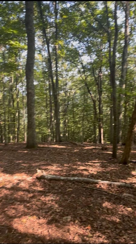 Mineral Bluff, GA 30559 Fannin County