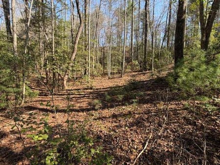 Dahlonega, GA 30533 Lumpkin County