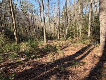 Dahlonega, GA 30533 Lumpkin County
