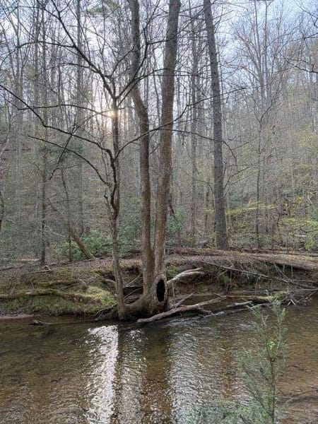 Dahlonega, GA 30533 Lumpkin County