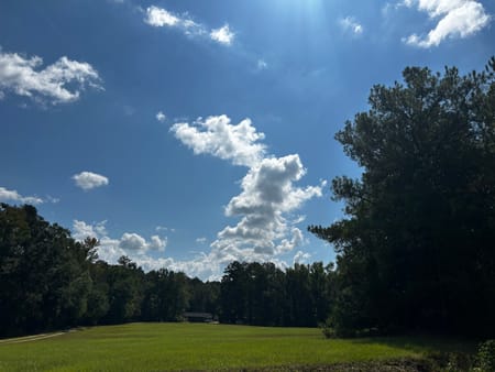 Milledgeville, GA 31061 Baldwin County