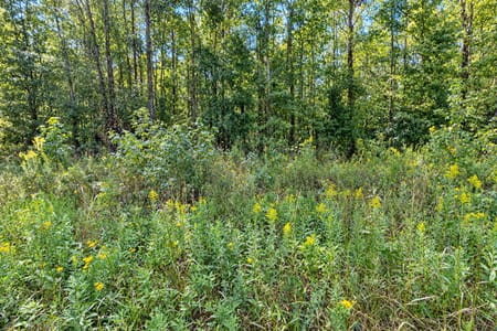 Trion, GA 30753 Walker County