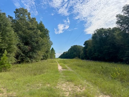 Hawkinsville, GA 31036 Pulaski County