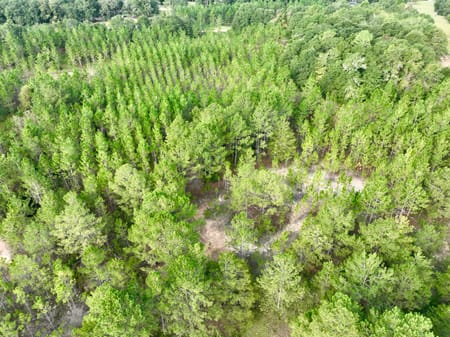 Hawkinsville, GA 31036 Pulaski County