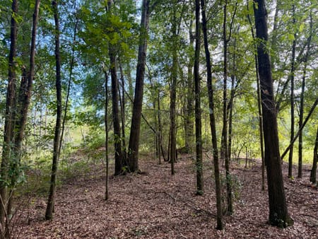 Hawkinsville, GA 31036 Pulaski County