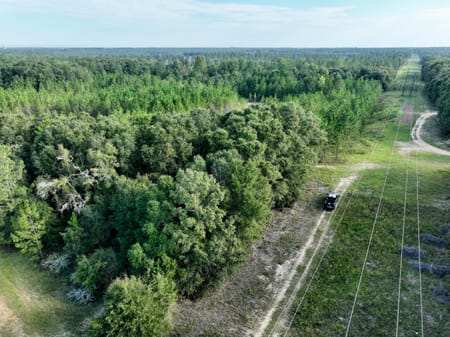 Hawkinsville, GA 31036 Pulaski County