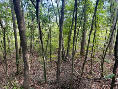 Hawkinsville, GA 31036 Pulaski County