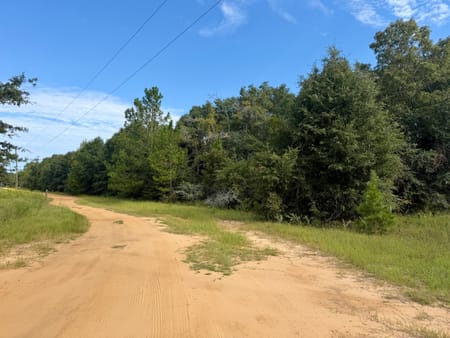 Hawkinsville, GA 31036 Pulaski County