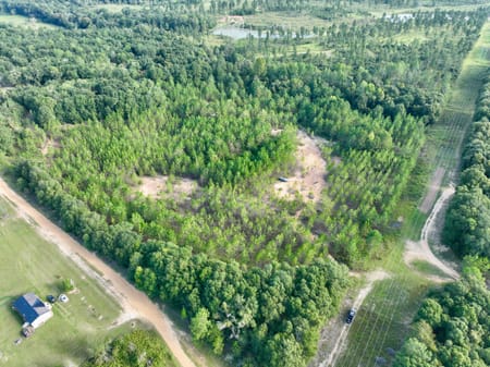 Hawkinsville, GA 31036 Pulaski County