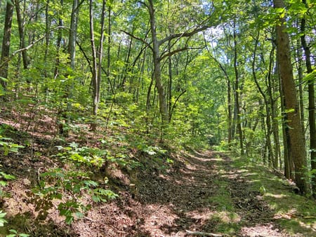 Dahlonega, GA 30533 Dawson County